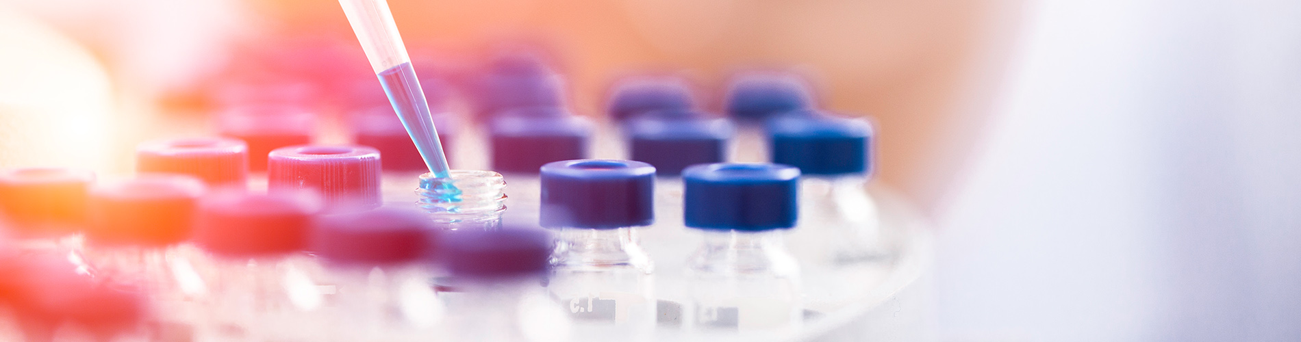 NGÀNH CÔNG NGHIỆP